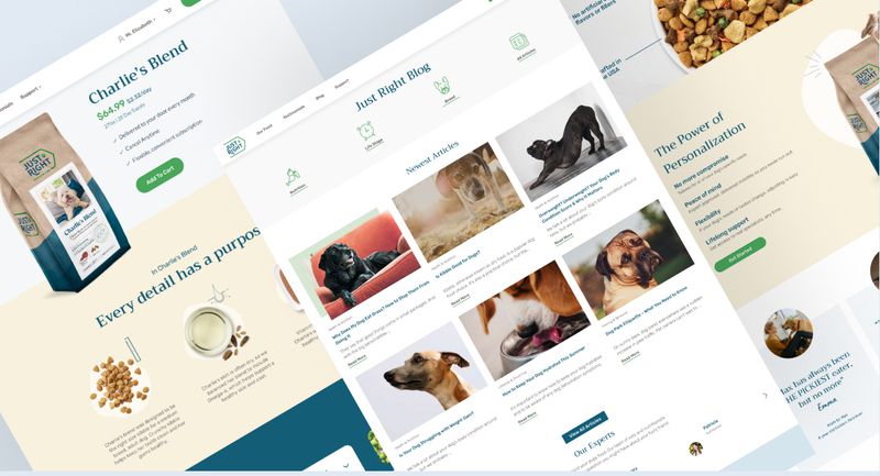 Customer-First Commerce