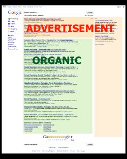 SEO Basics
